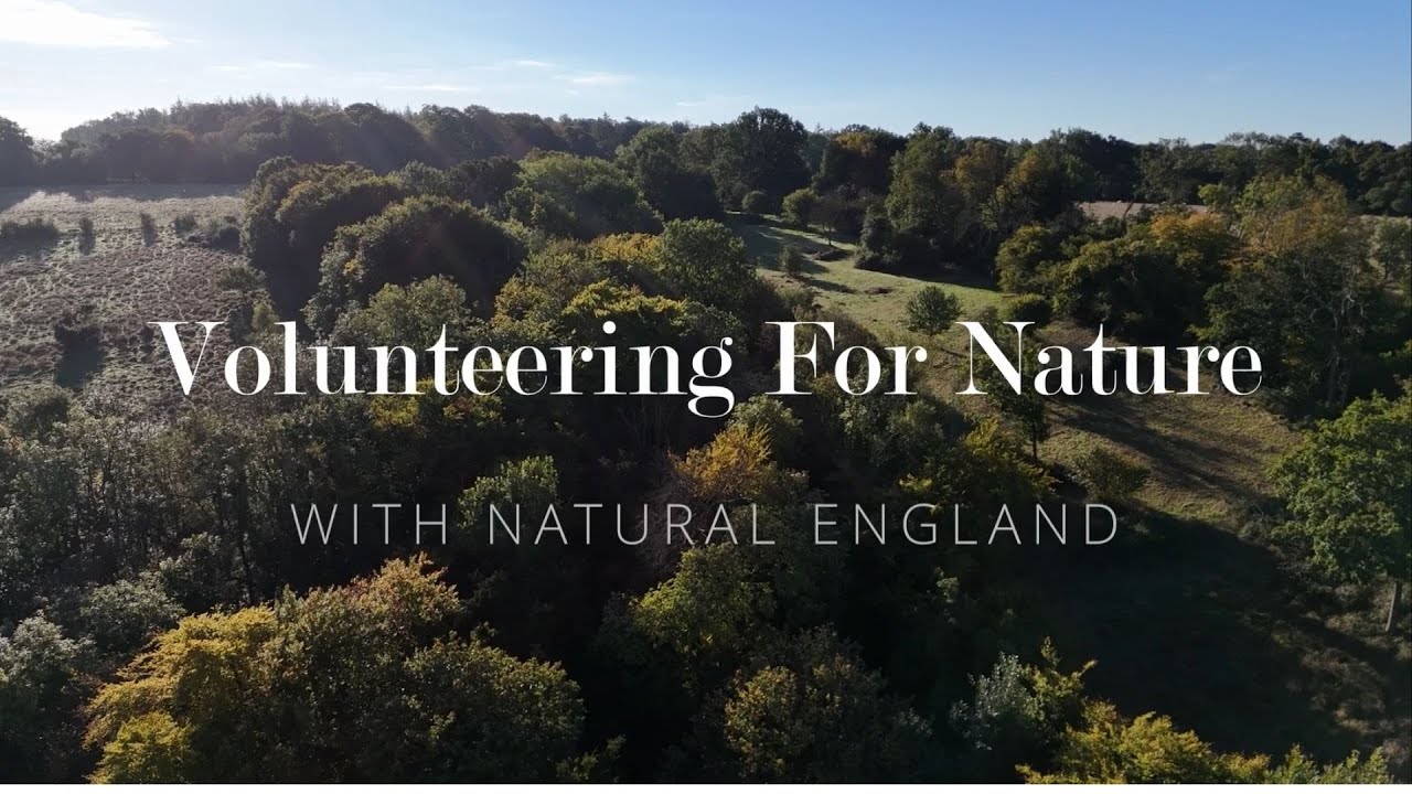 Volunteering on National Nature Reserves