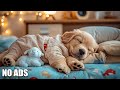 12 Hours Of Dog Healing Music🎵 Anti Separation Anxiety Relief Music 🐶Dog Calming Music💖No Ads