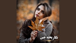 آهنگ جدید افغانی: نگار‌ پخته چین استم غلامت - Kabul Ai Music
