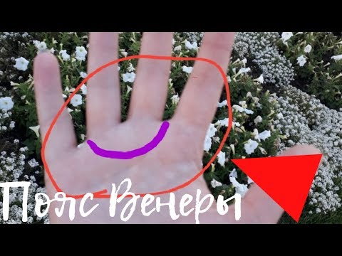 Видео: Что означает пояс Венеры?