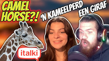 I took classes on italki to learn memes in a random language