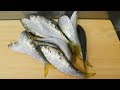 寿司職人によるコハダの仕込みから握りまで〜How To Make Sushi Series〜