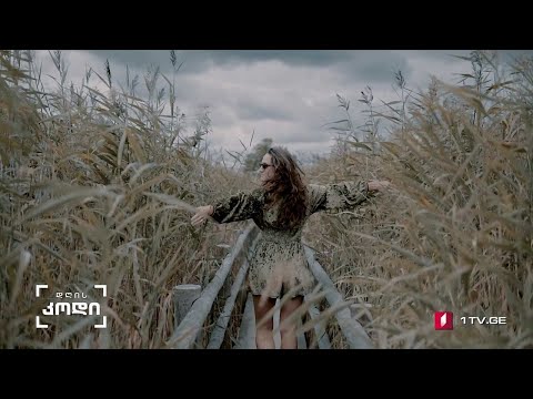 #დღისკოდი თავისუფლების ფორმულა #LIVE