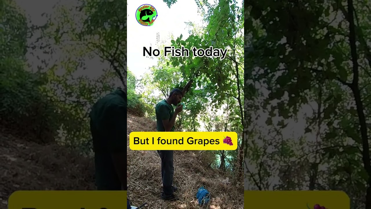 While Fishing, Having some grapes 🍇 