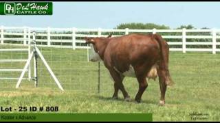 Delhawk Steak Eggs 2011 Lot 25