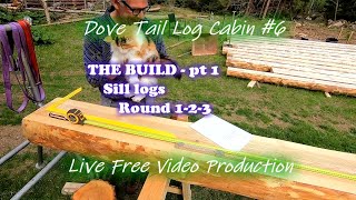 The build pt.1 - Sill logs, 3 first rounds - Dove tail log cabin 6