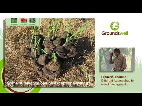 Frédéric Thomas - Different Approaches to Weed Management with CA - at Groundswell 2019