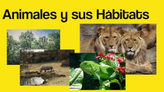 Los Animales y sus hábitats  - 'Total Physical Response'