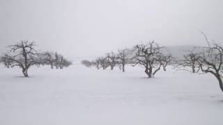 Snowfall blankets Chagrin Falls and Chardon