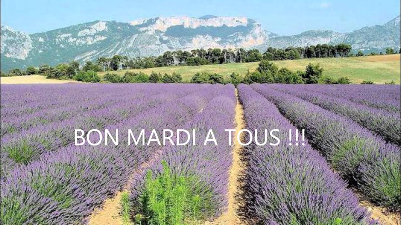 Bon Mardi A Tous 7 Juin 16 Youtube