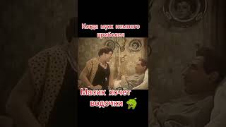 Масик Хочет Водочки😜 #Приколы #Юмор #Stories #Смех