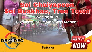 [4K] 🇹🇭 Soi Chaiyapoon l Soi Buakhao l Tree Town l Evening drive l Highlights in Smooth Slow Motion