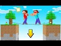 Minecraft But IF THE BLIND STEVE DIES The VIDEO ENDS! (impossible)
