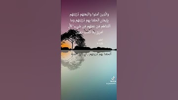 تلاوة عذبة للقارئ عمر هشام