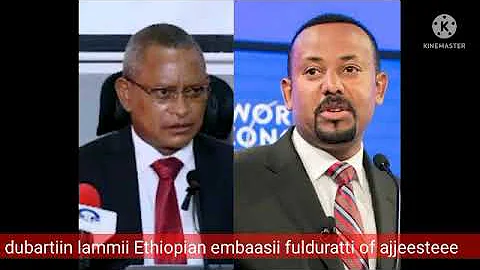 Dubartiin lammii Ethiopia Embassy Saudi Arabia fulduratti of ajjeestee 😭😭😭😭 #ethiopianmusic #oromo