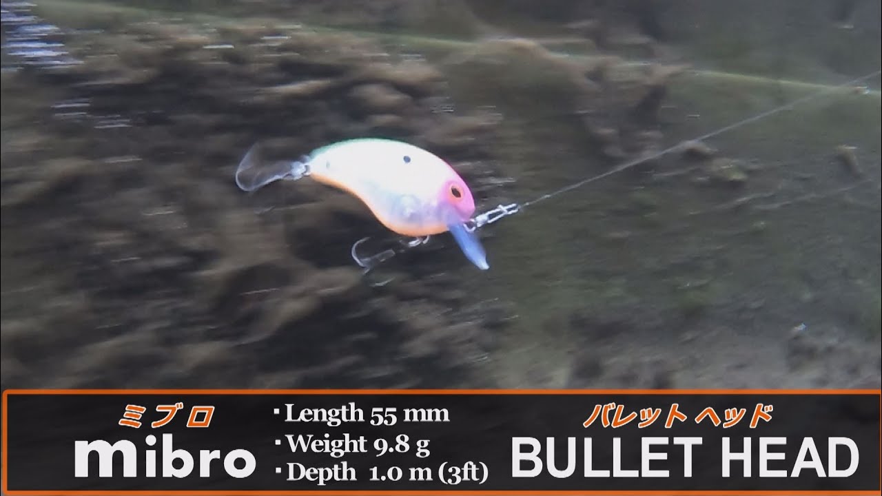 ミブロ バレットヘッド 水中映像 #ミブロ #mibro #BULLETHEAD