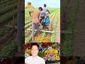 This machine has made the work of almond farmers easier | বাদাম চাষীদের কাজ সহজ করে দিয়েছে।