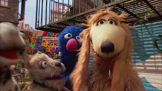 Grover Walking The Dog