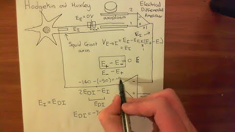 The Voltage Clamp Part 3