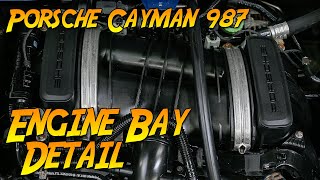 Cleaning The Porsche Cayman 987 Engine Bay: Why and How