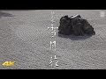 [4K] 枯山水の庭『雪月花』京都の庭園　KARESANSUI [4K] Snow Moon Flower The Garden of Kyoto
