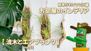 DIY】流木とエアプランツでかわいいお部屋インテリアを作ろう簡単