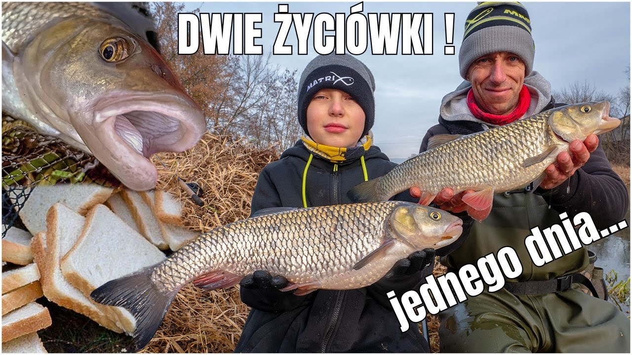 CHLEB NA HACZYKU = Dwie Życiówki Jednego Dnia!