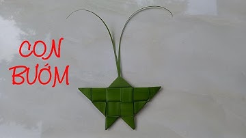 Cách làm con bướm bằng lá dừa