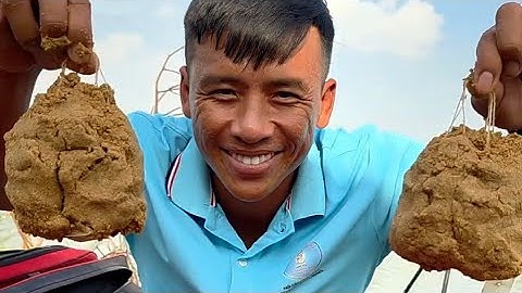 Cách trộn mồi câu cá tra với mồi câu R1 và R3 