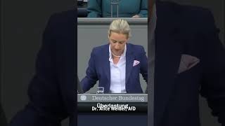 Deutschland braucht AfD: Schluss mit EU-Irrsinn &amp; Migration! #shorts