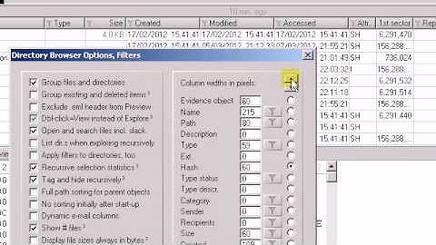 Adjusting column layout and re-ordering columns in X-Ways Forensics