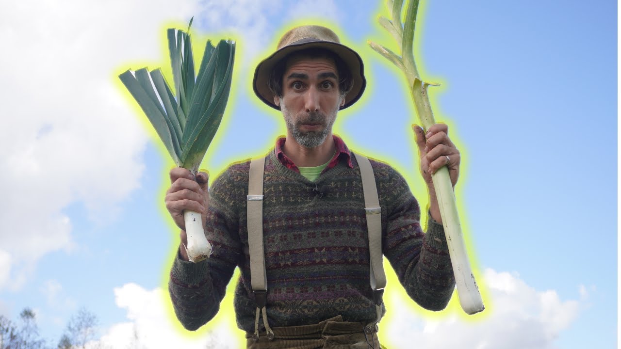 Simple et Efficace: Le POIREAU