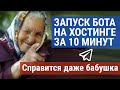 За 10 минут - выгрузка (деплой) телеграм-бота на хостинг и его запуск.