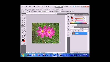 Photoshop CS6 Tutorial The Background Eraser Tool Adobe Training