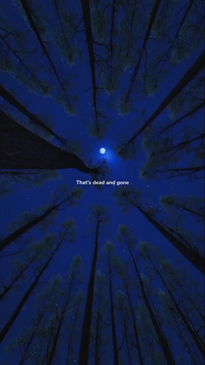 In The Stars - Benson Boone (Cover Sami Rose) #lyrics #aestheic #music #trendingshorts