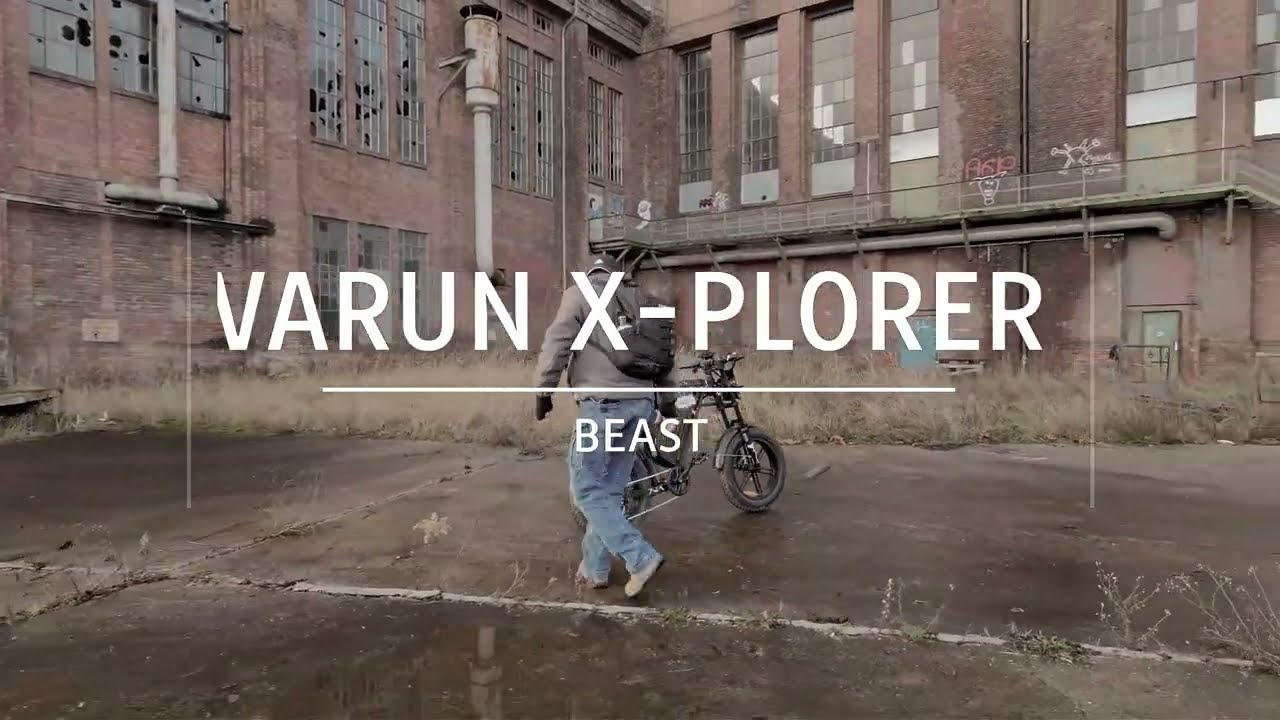 1000W 95Nm Motor, 48V 31.5A Battery, truly robust power E-moped 