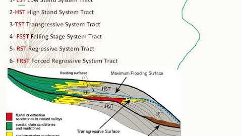 Part 3 Stratigraphy Practical course المرحلة الجامعية مادة استراتجرافيا