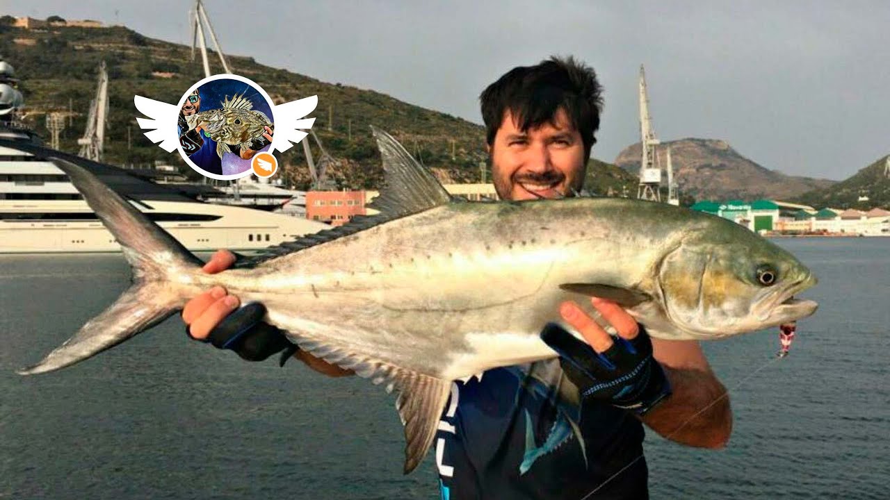 Todos los secretos sobre la pesca del palometón