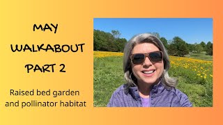 MAY Walkabout Part 2 - How to grow veg and flowers in a raised bed garden & pollinator habitat.