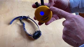 How to toggle between tone and vibrate on an ET300 ecollar.