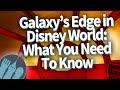 Galaxy’s Edge in Disney World: What You Need To Know