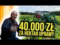 40.000 ZŁ za HEKTAR UPRAWY *koszty i opłacalność UPRAWY TYTONIU*