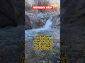 PERDONANOS SEÑOR, #god #life #family #nature #motivation #fyp #viral
