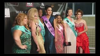 A Decade of Diversity | 2016 Diversity Pageants USA Crowning Show & Red Carpet | Official Flashback