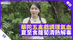 健康旦hieggo Youtube