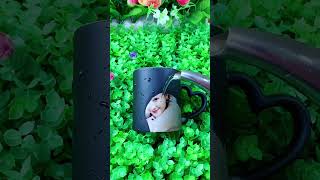 Product Link in Bio ( # 2238 ) @MaviGadgets ✅ Sublimation Mug Heat Press Printer Machine