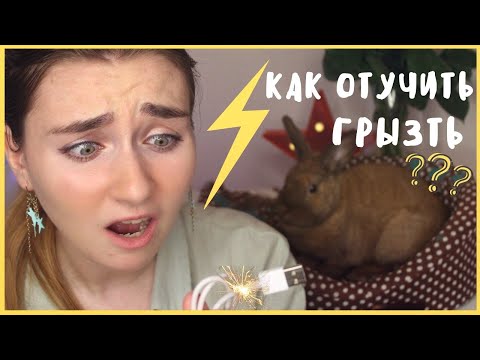 КРОЛИК ГРЫЗЁТ ОБОИ И ПРОВОДА ЧТО ДЕЛАТЬ? / КАК ОТУЧИТЬ КРОЛИКА ГРЫЗТЬ ОБОИ И ПРОВОДА?