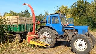 Як ми заготовляєм силос від А до Я. Claas Jaguar нам допоміг добре 🚜