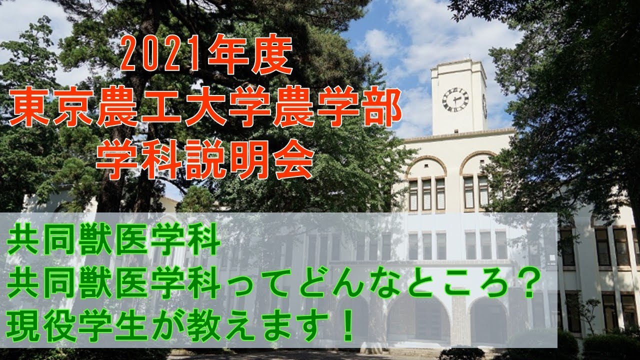 東京農工大学農学部共同獣医学科 2021学科説明会 共同獣医学科って