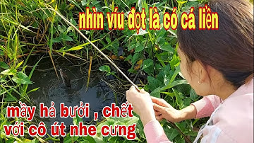Cắm Câu Ngây Lúc Trời Mưa , Cá Lóc , Cá Trê Dính Câu Thấy Ham Luôn # SĂN BẮT ĐỒNG THÁP #